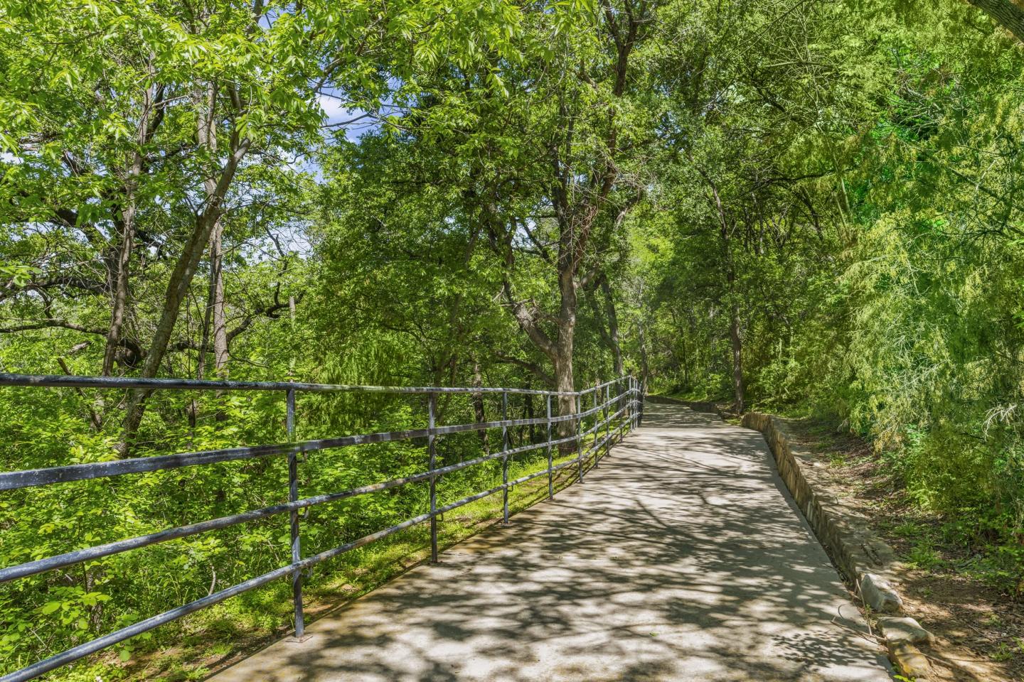 Dane Park Grapevine Image 28