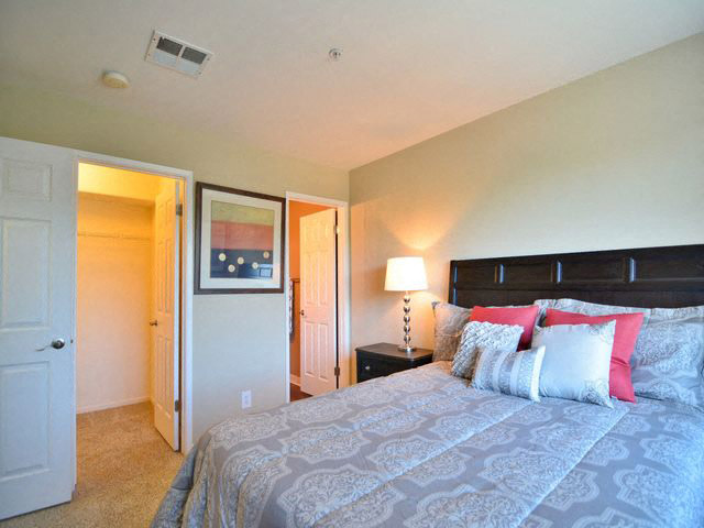 Crooked Oak Image 22