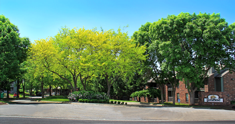 Lionshead Apartments Image 18