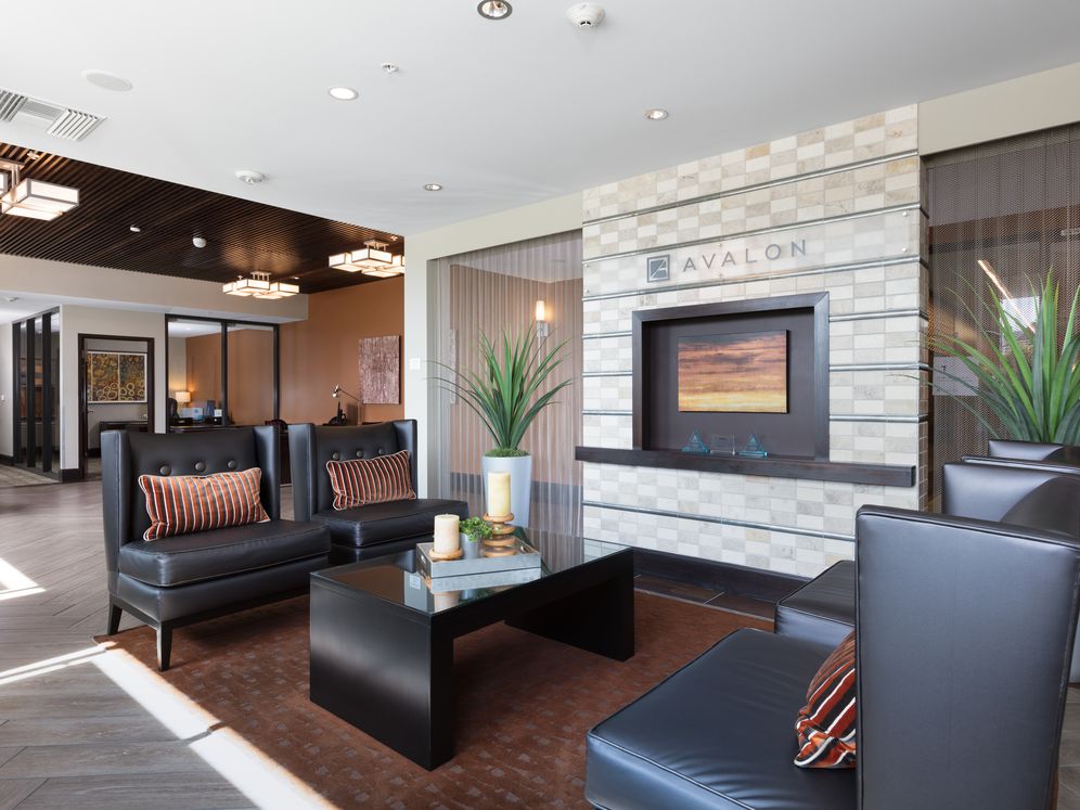 Avalon Ocean Avenue Image 18