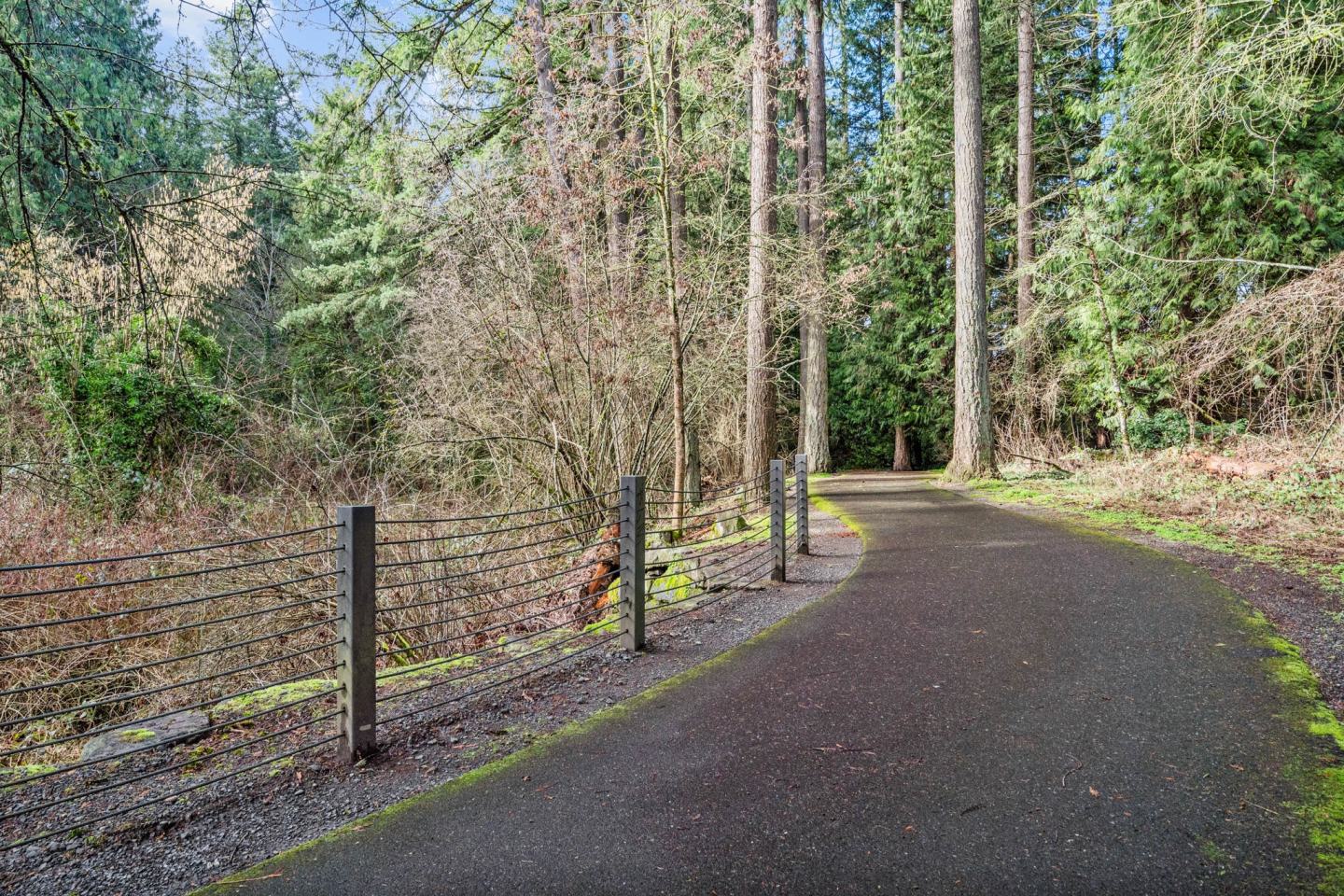 Fir Grove Image 20