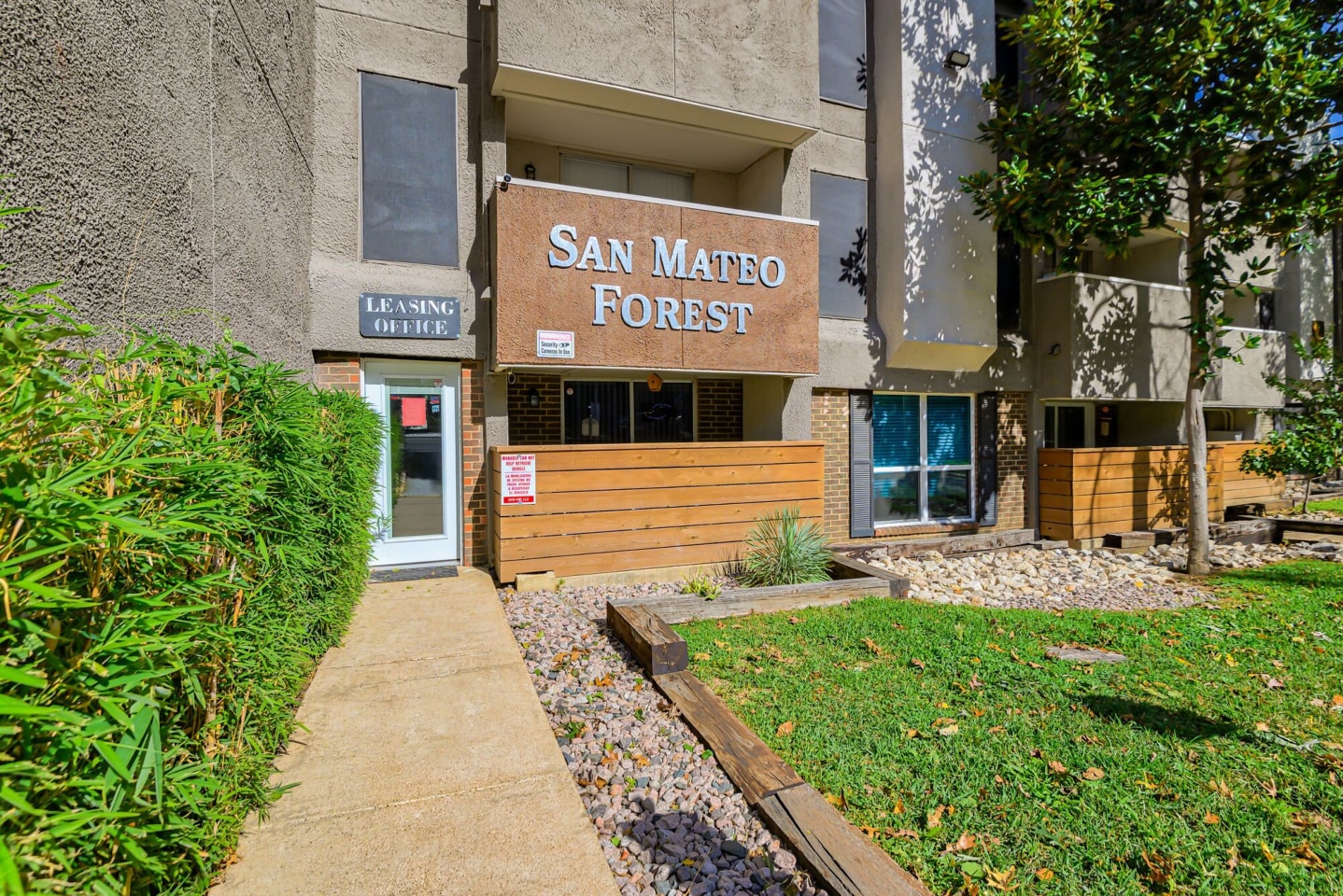San Mateo Forest Apartments Image 34