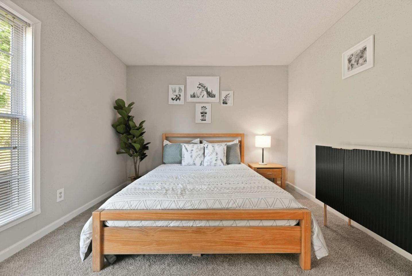 Premier Apartments Image 1