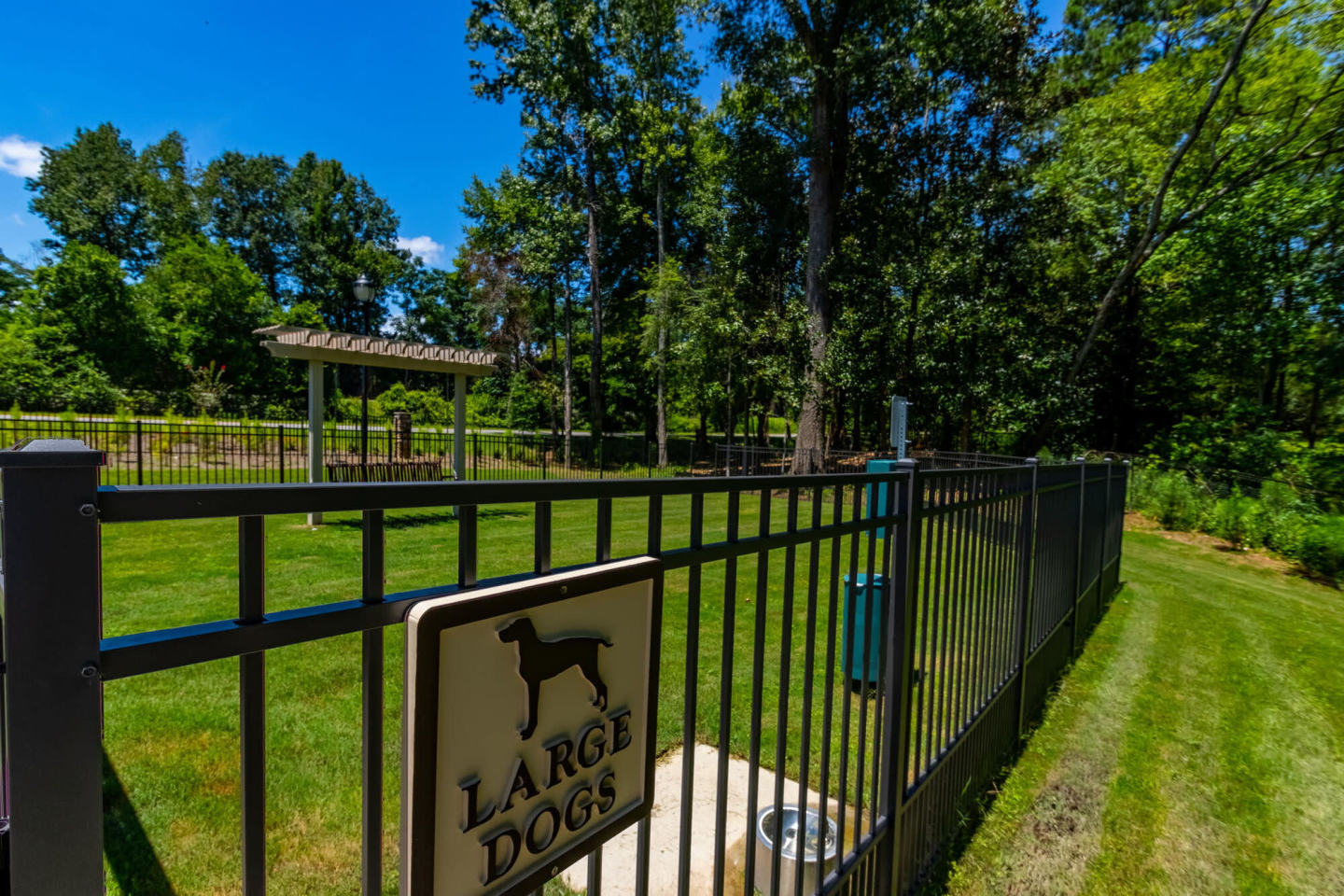 Summer Lake Image 49