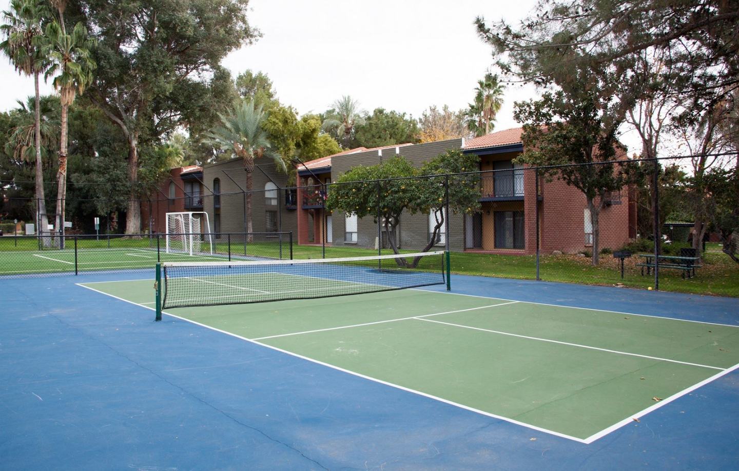 Mission Palms Image 12