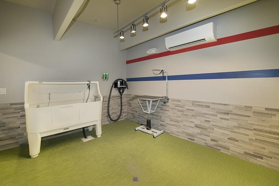 The Mark at CityPlace Springwoods Village Image 41