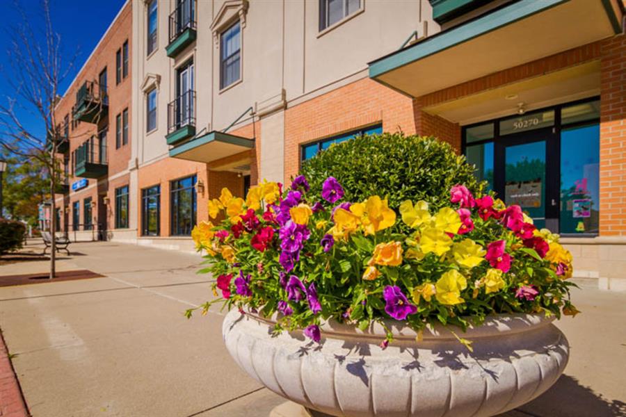 Uptown in Canton Image 13