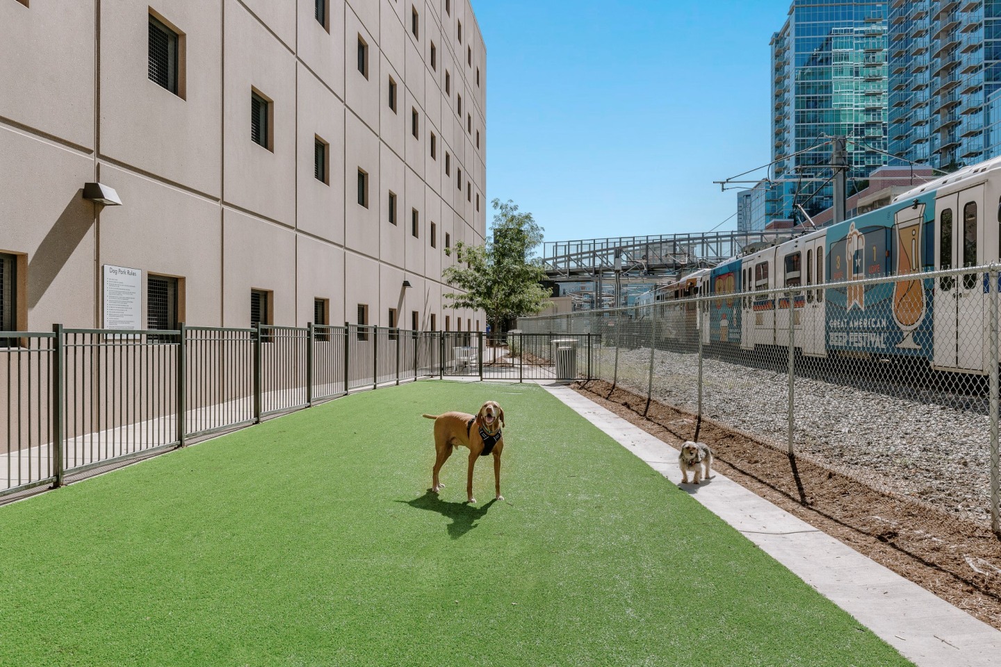 City House Apartments Image 17
