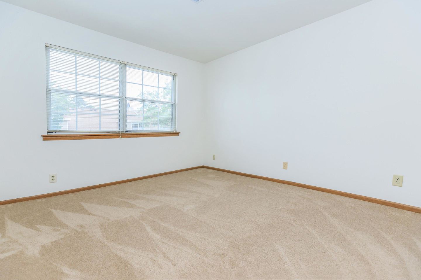 Plum Tree Apartments Image 66