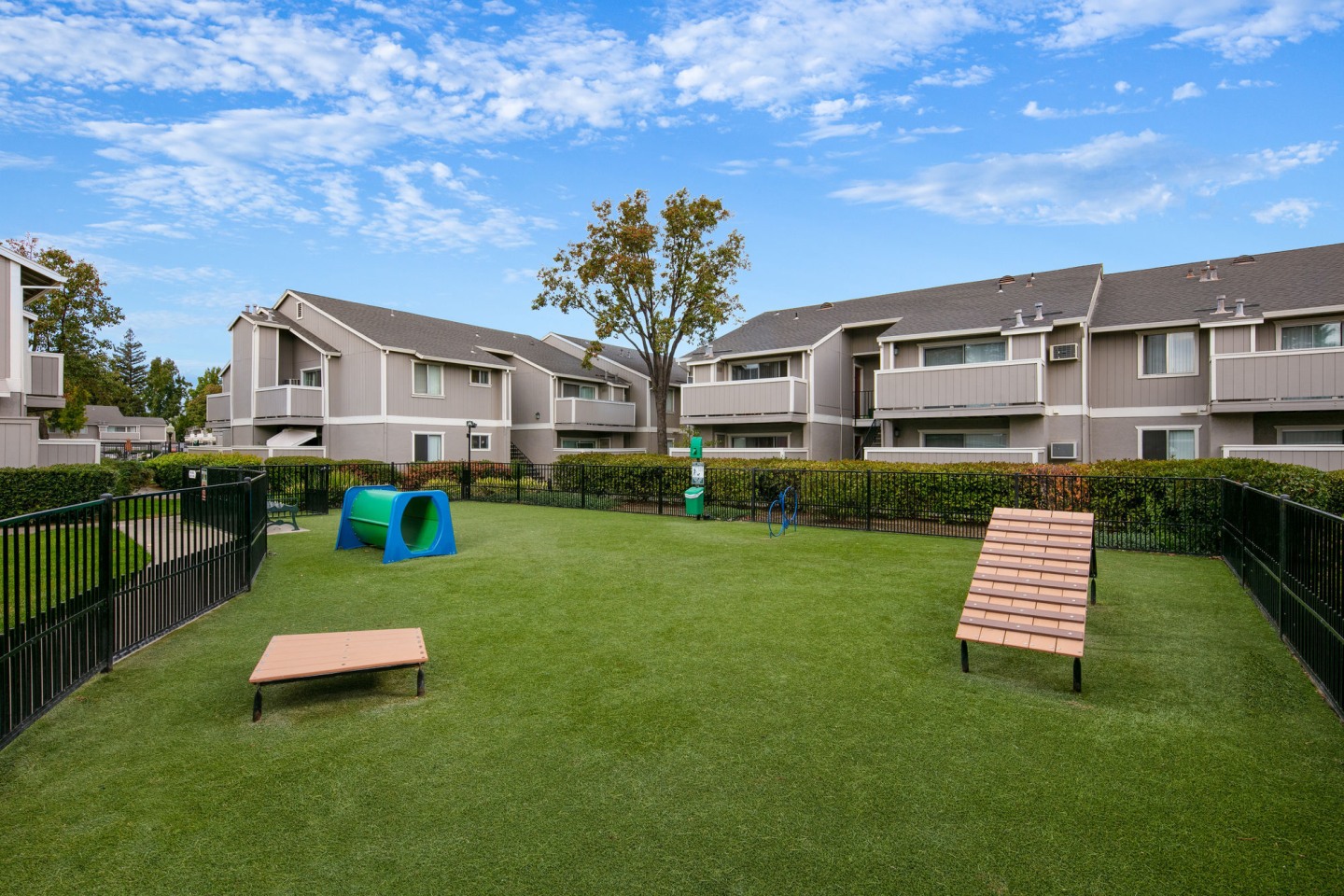 The Sycamores Apartments Image 16