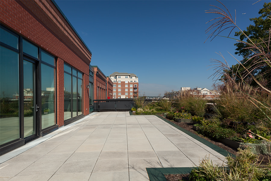 Zoso Flats Image 8