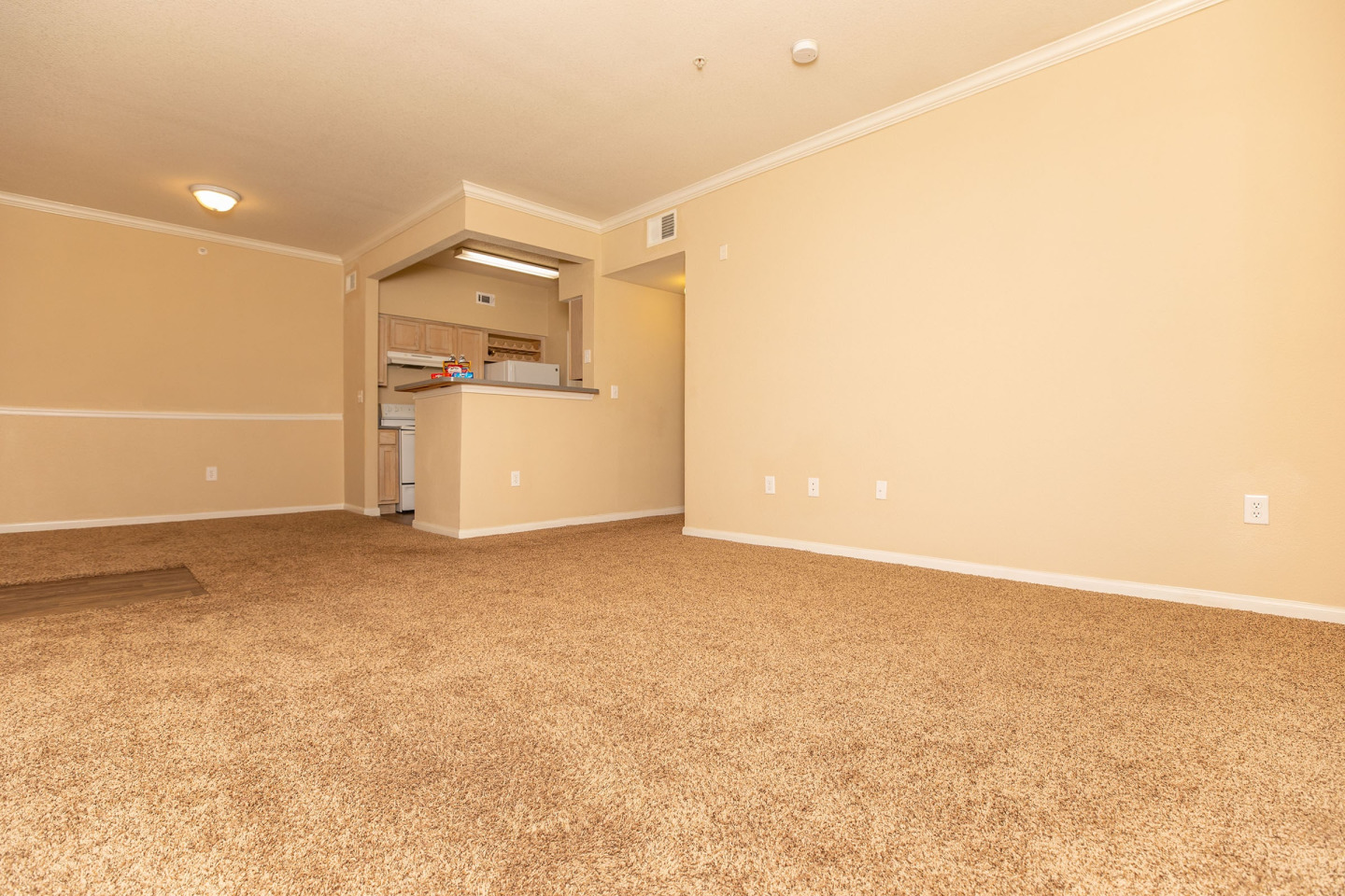 The Arboretum Apartments Image 22