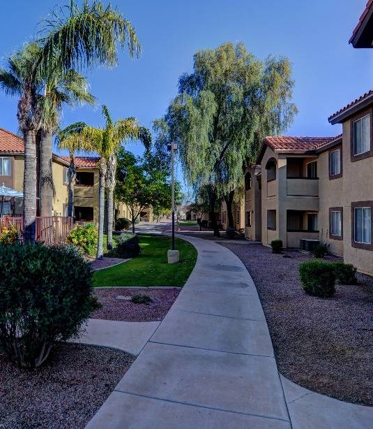 The Sonoran Image 11
