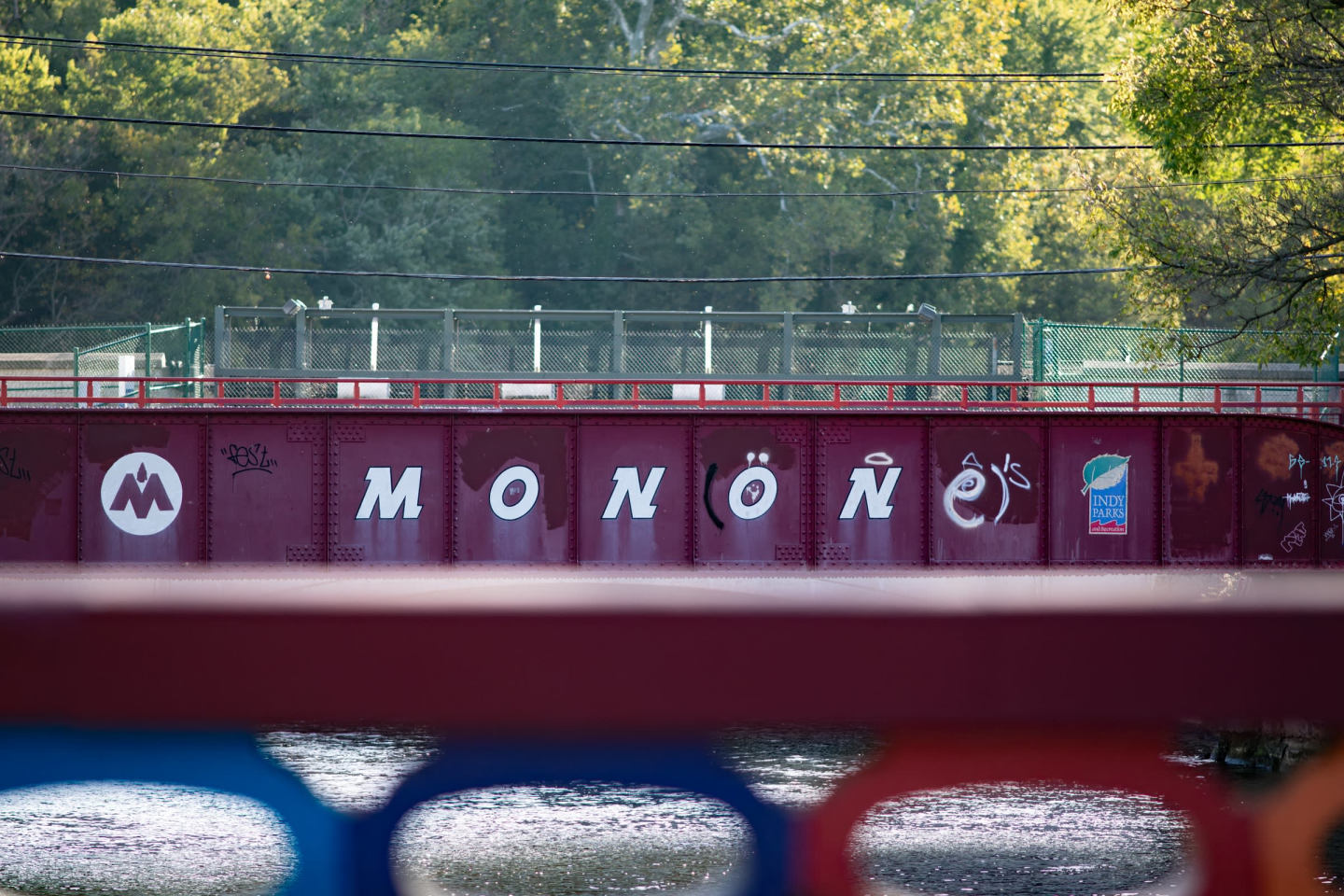 Monon Living Image 106