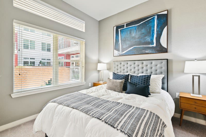 Moda Luxury Apartments Image 2