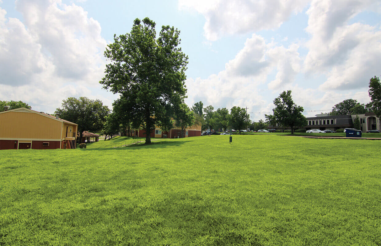 Raintree Apartments Image 3