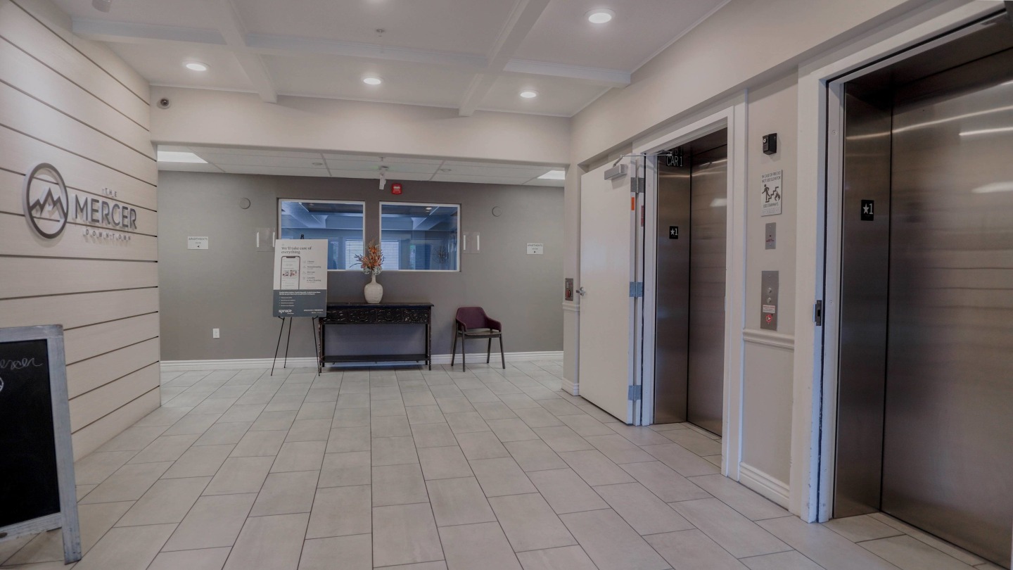 The Mercer Image 22