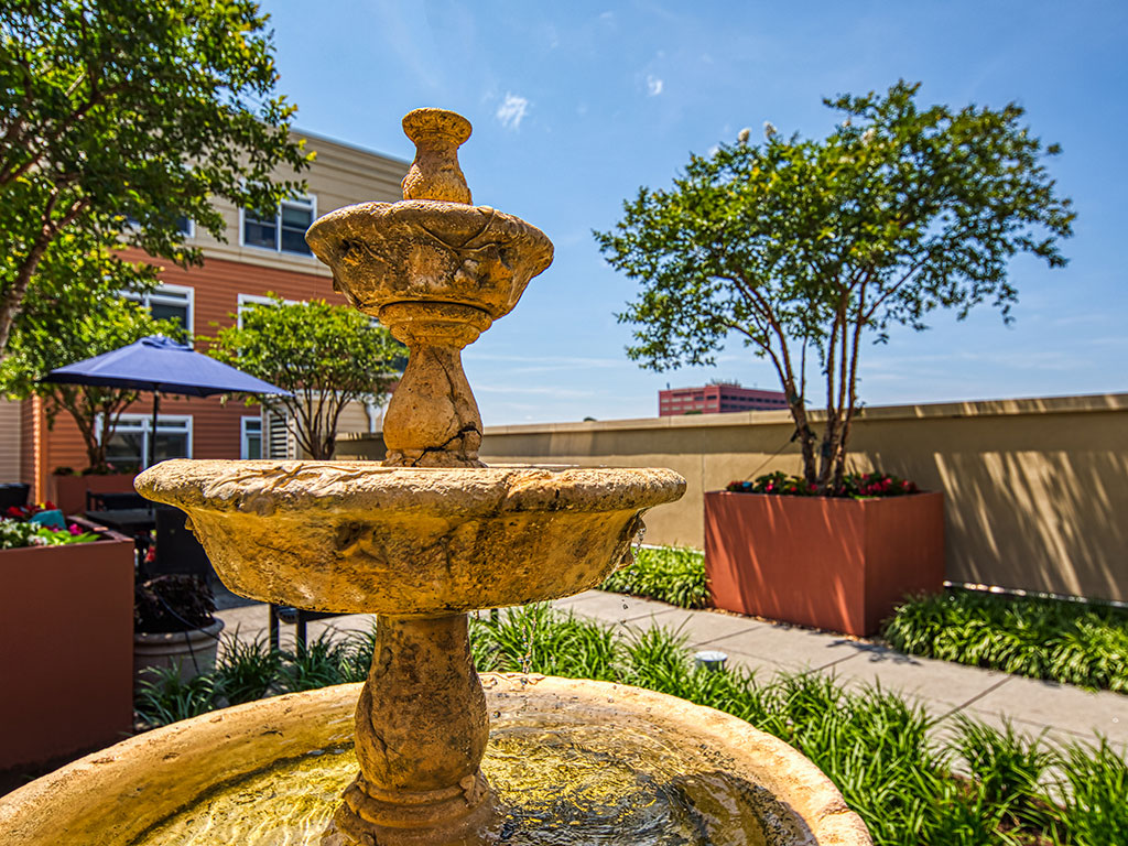 The Chapman at Peninsula Town Center Image 31