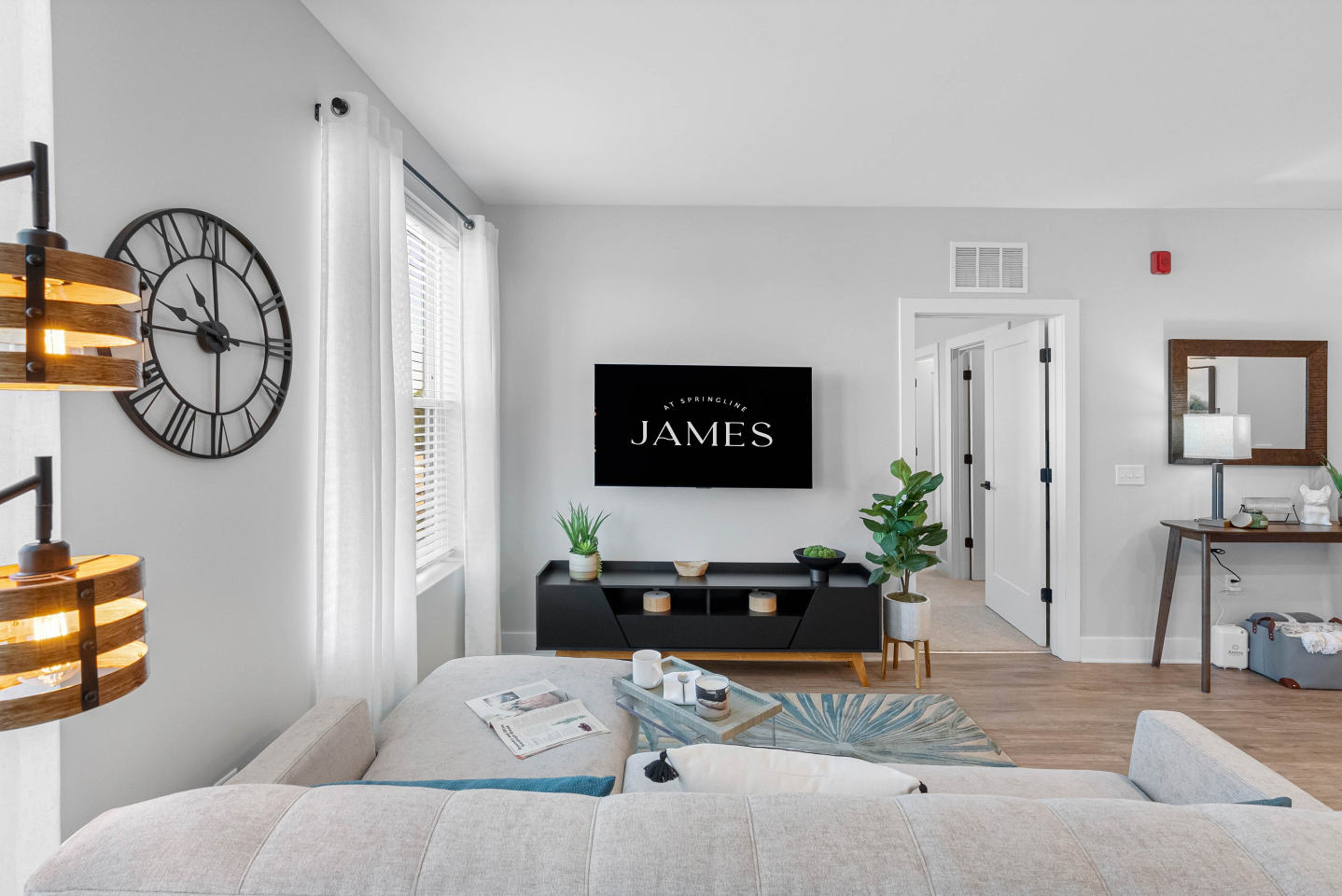 The James at Springline Image 10