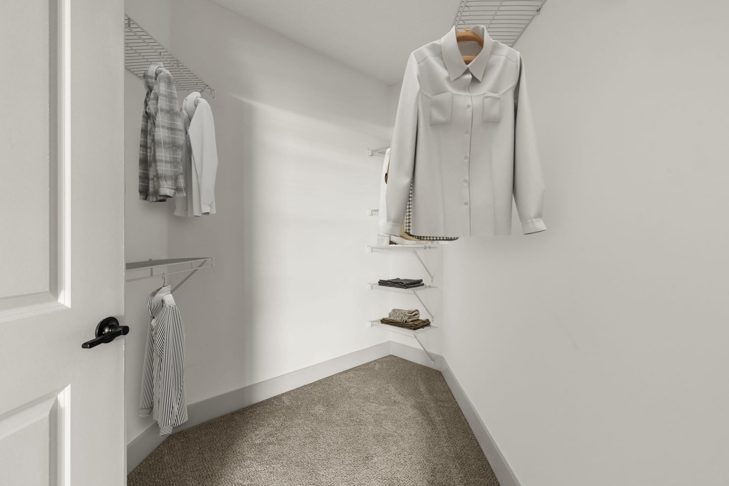The Menlo Image 6