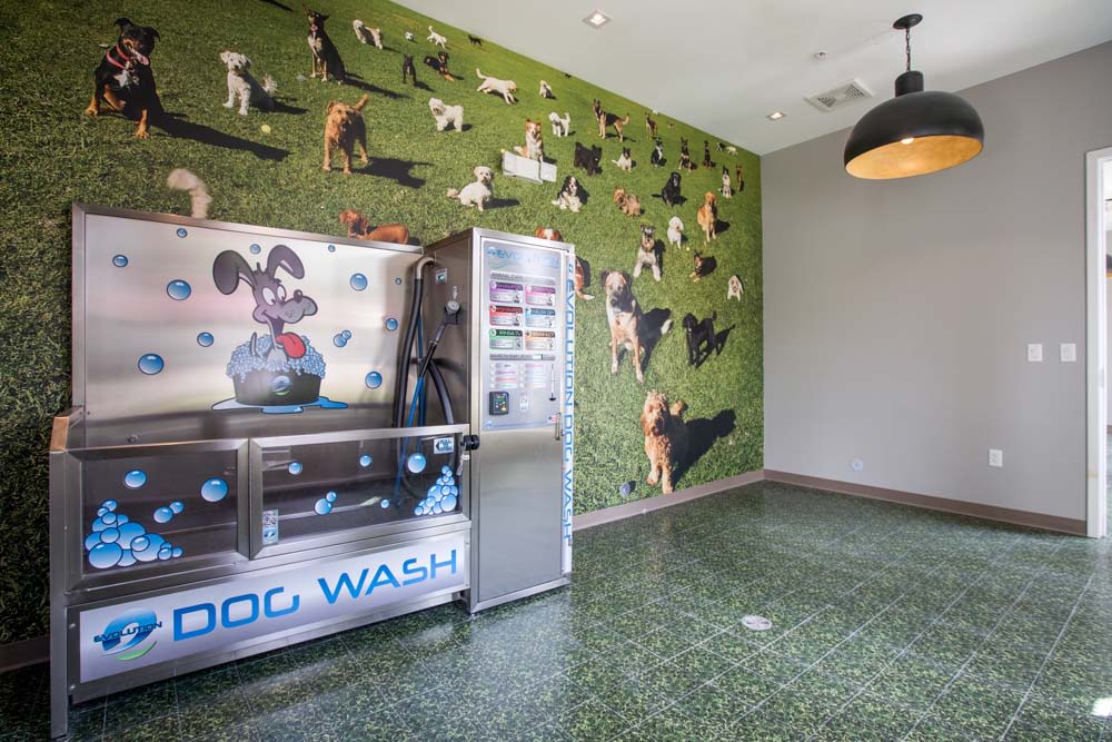 Miro Brickell Image 10