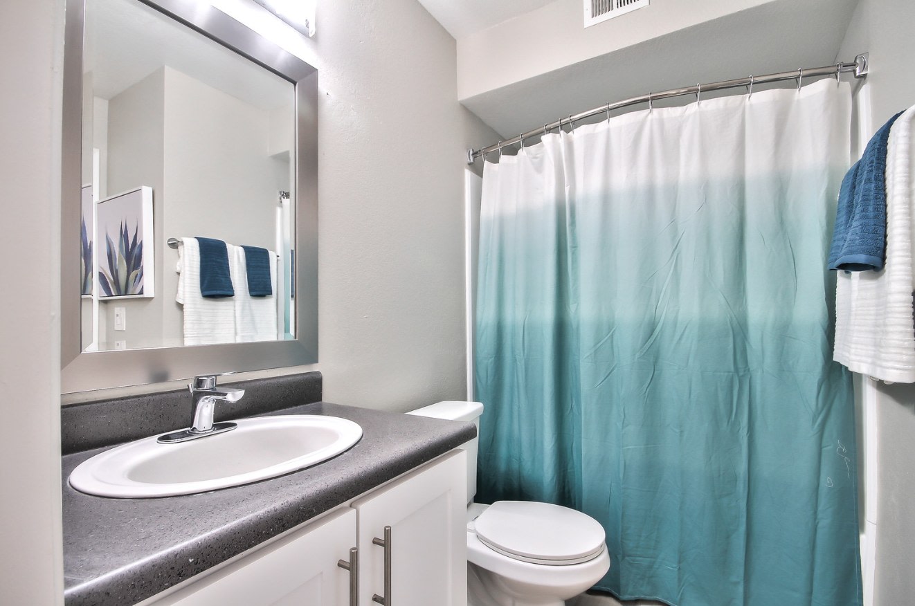The Harlow Image 33