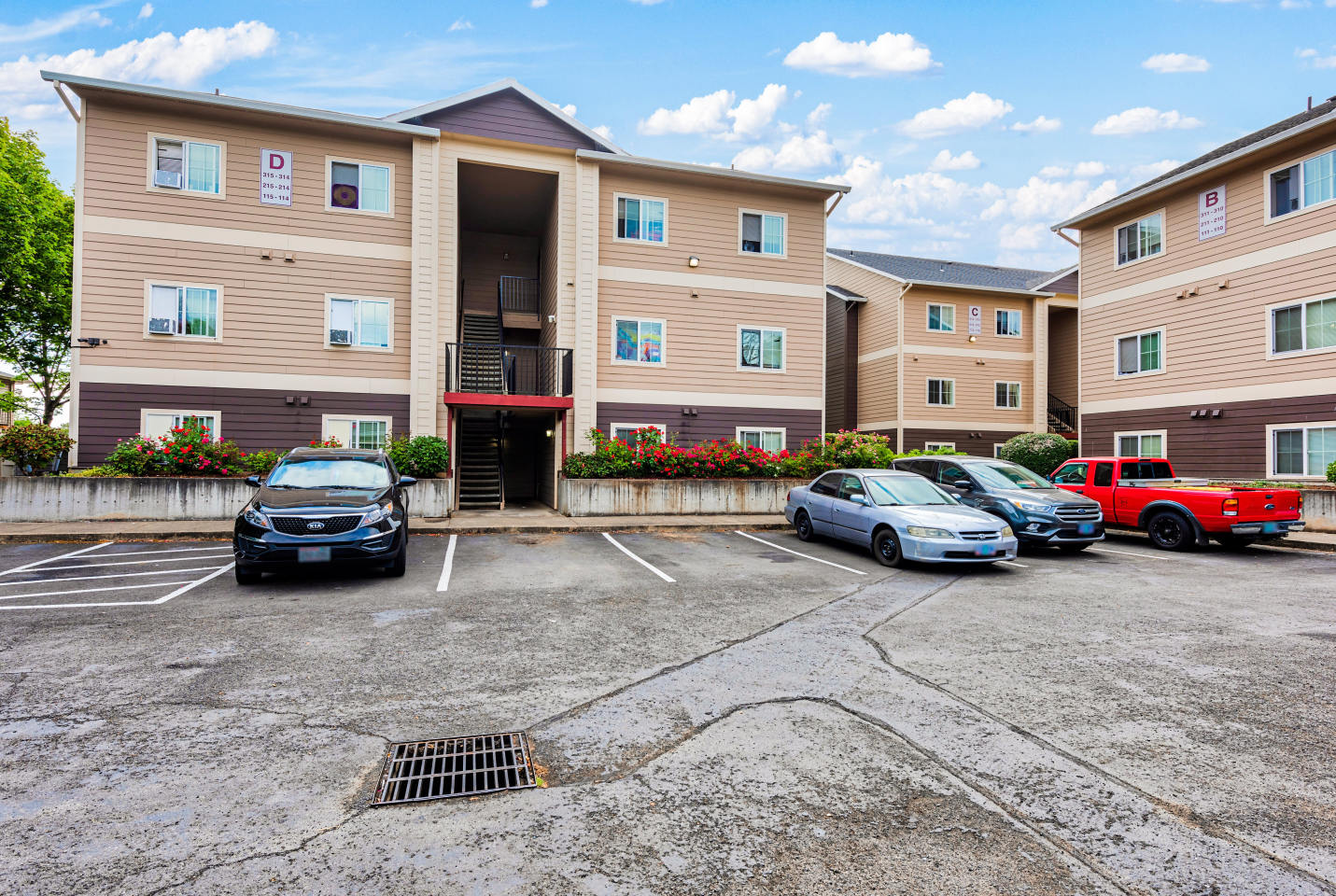 Chelsey Lane Image 22