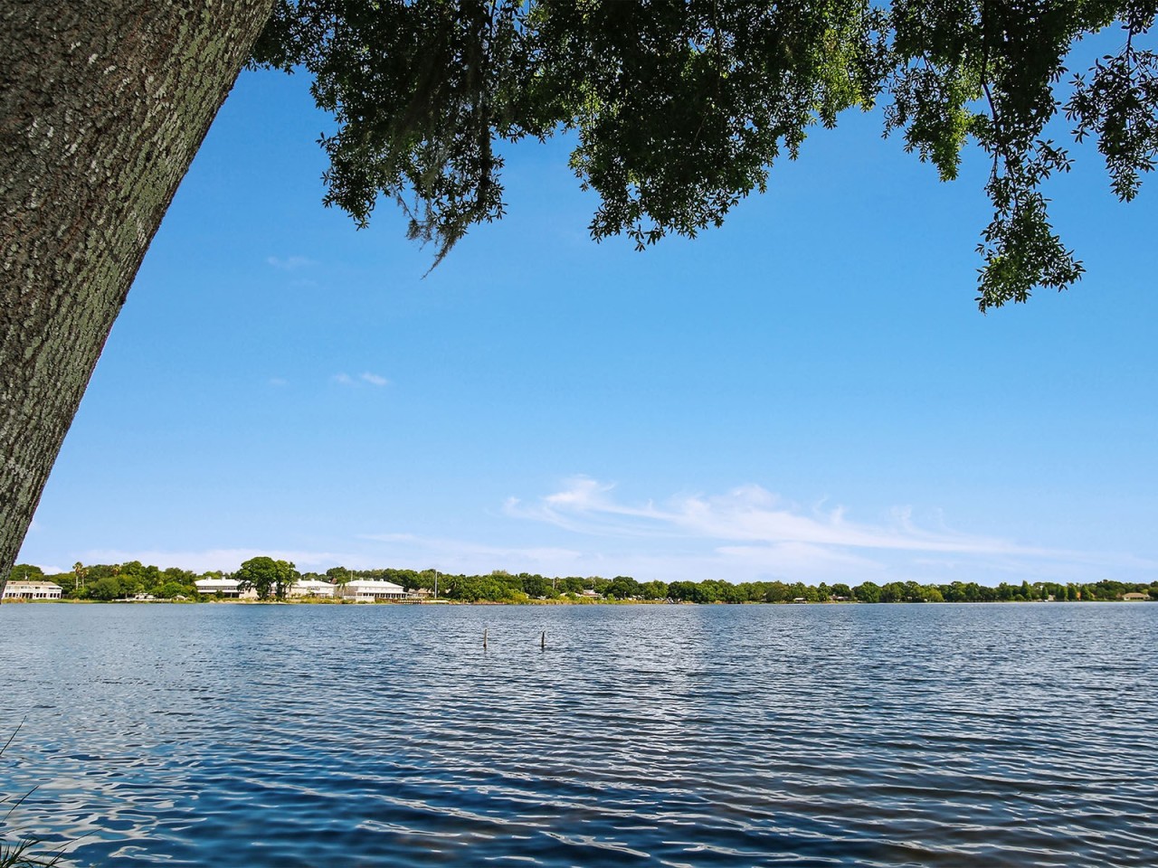 Vista Lake Ned Image 20