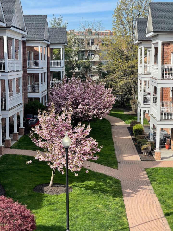 Mariners Landing Image 33