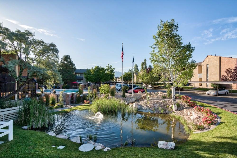 Cherry Creek Image 9