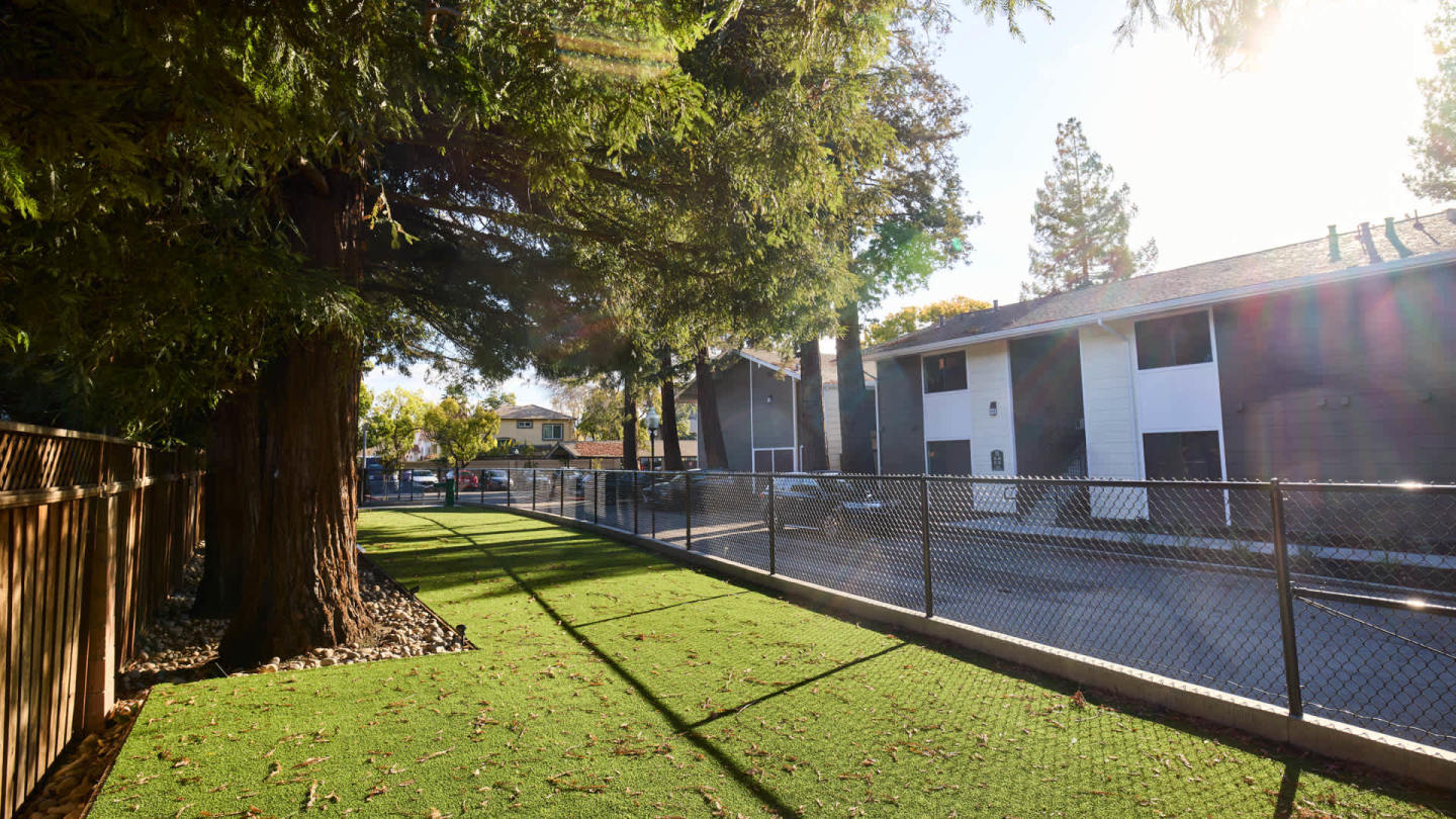 Lorien Apartments Image 50