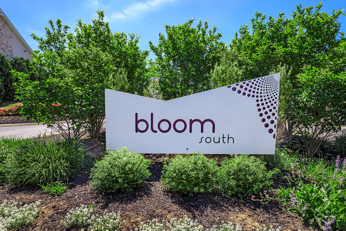Bloom Image 4
