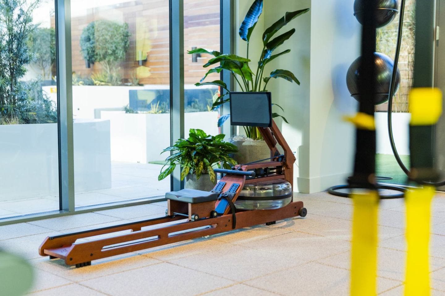 Sora at Spring Quarter Image 11