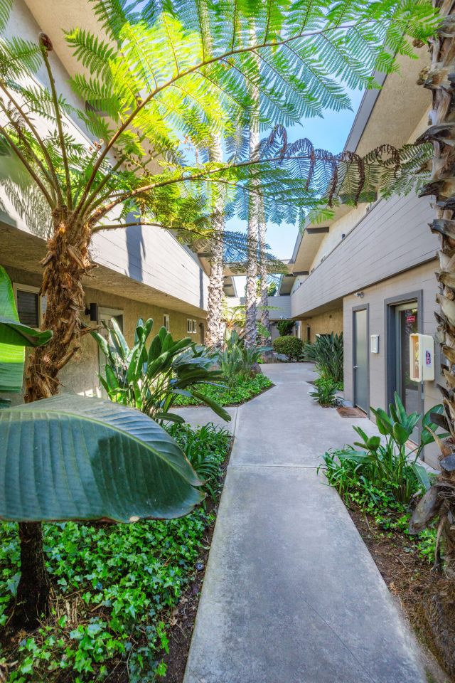 Elán Beachhouse Apartment Homes Image 4