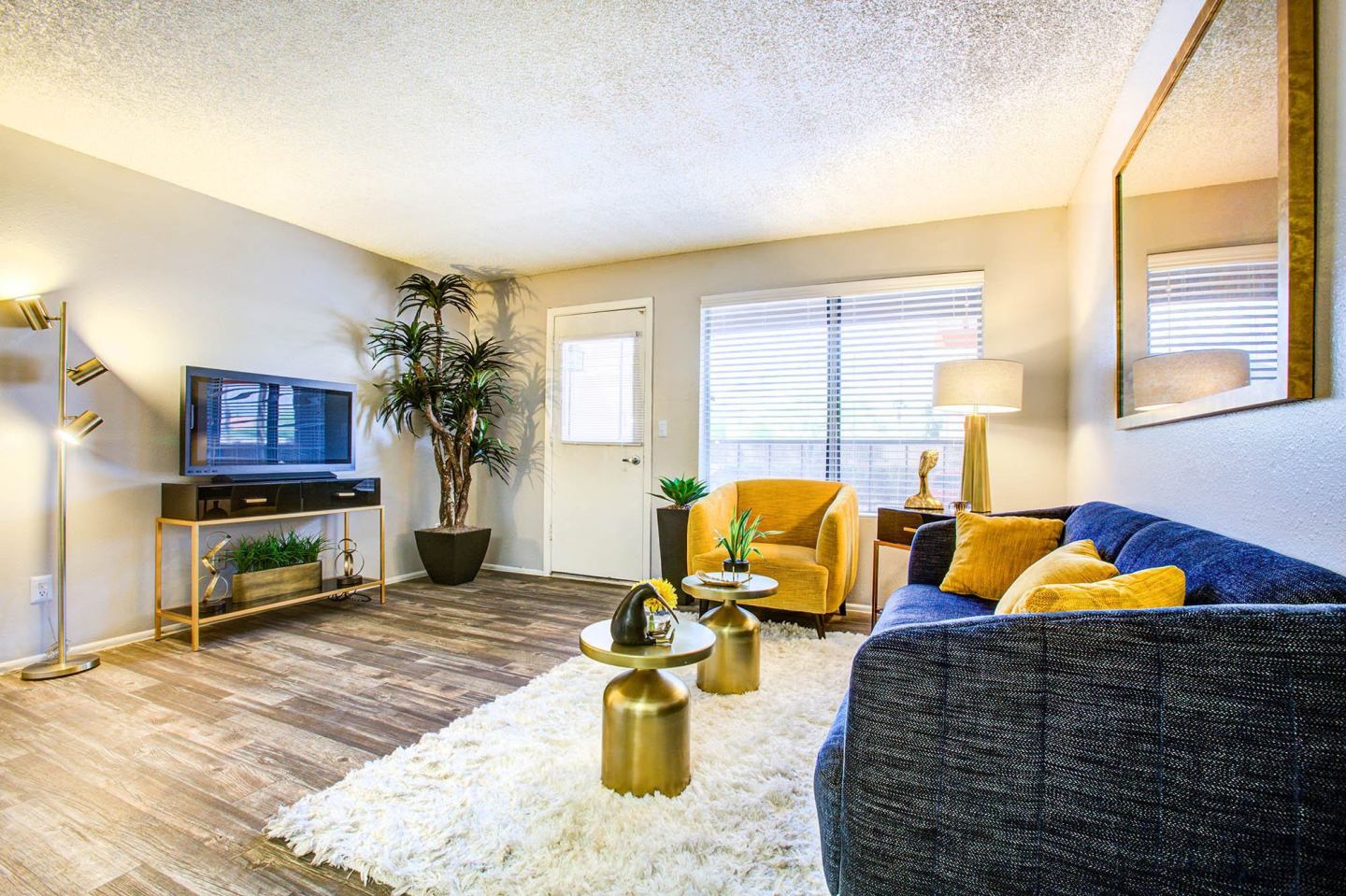 Elevation Apartments Image 11