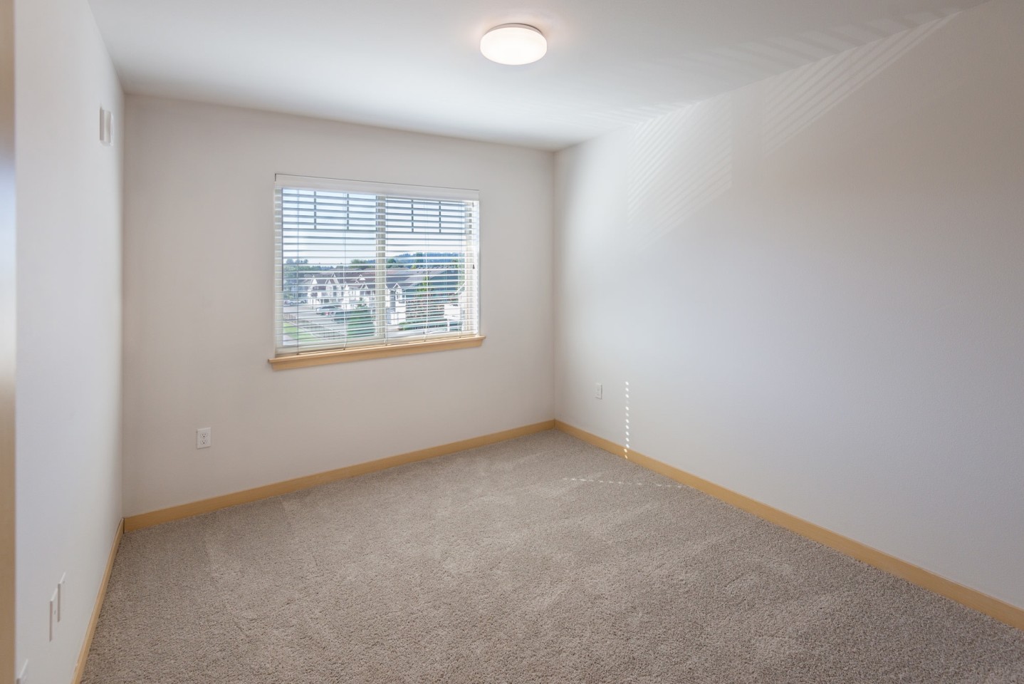 Aster Townhomes Image 15