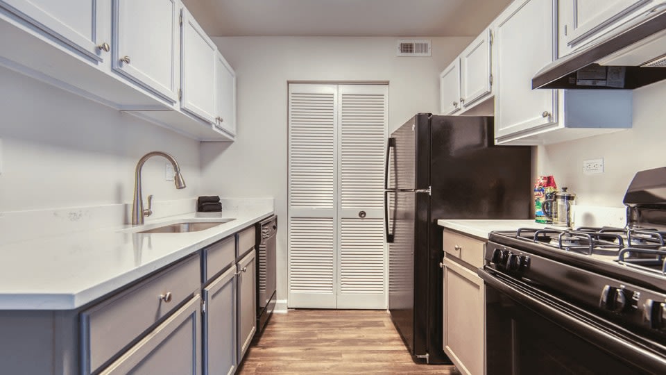 The View Apartments Image 15