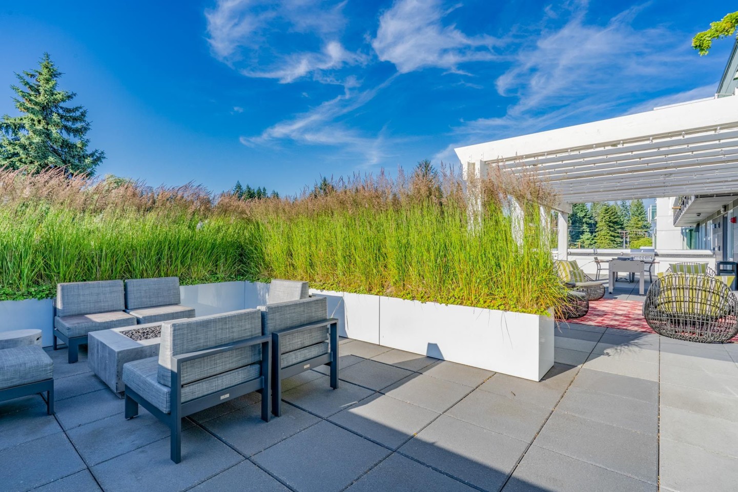 Edition Apartments Image 35