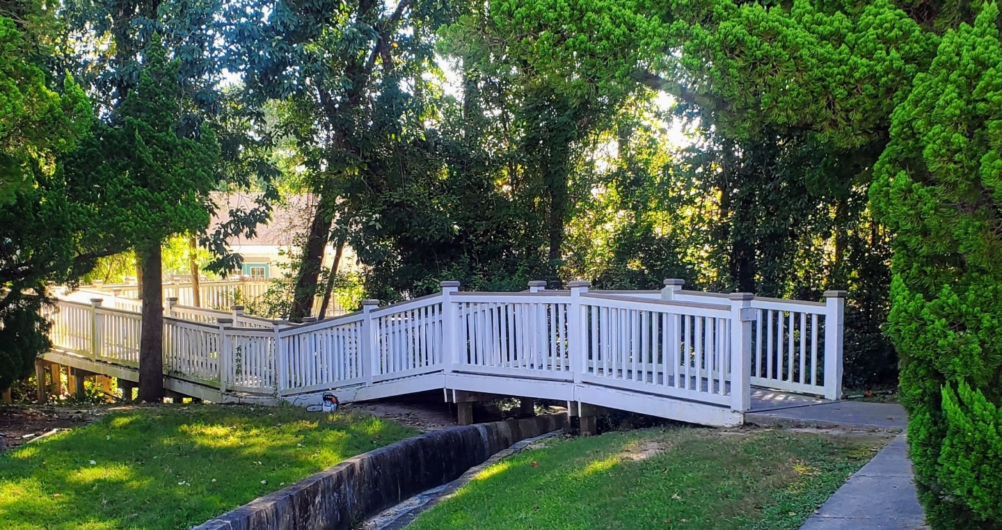 Cape Landing Image 21