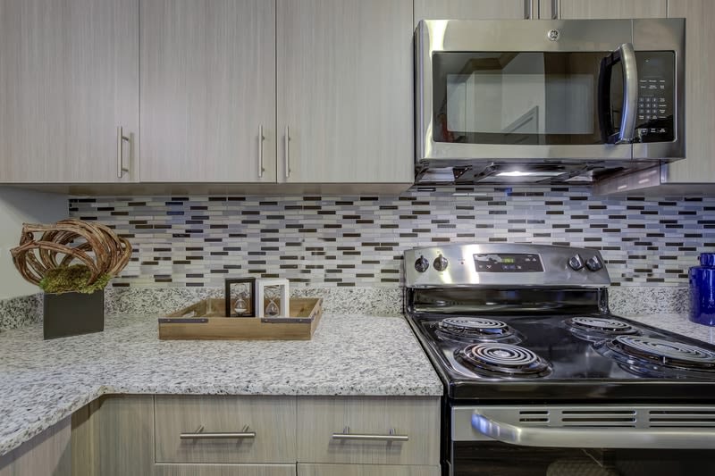 The Emerson Apartments Image 30