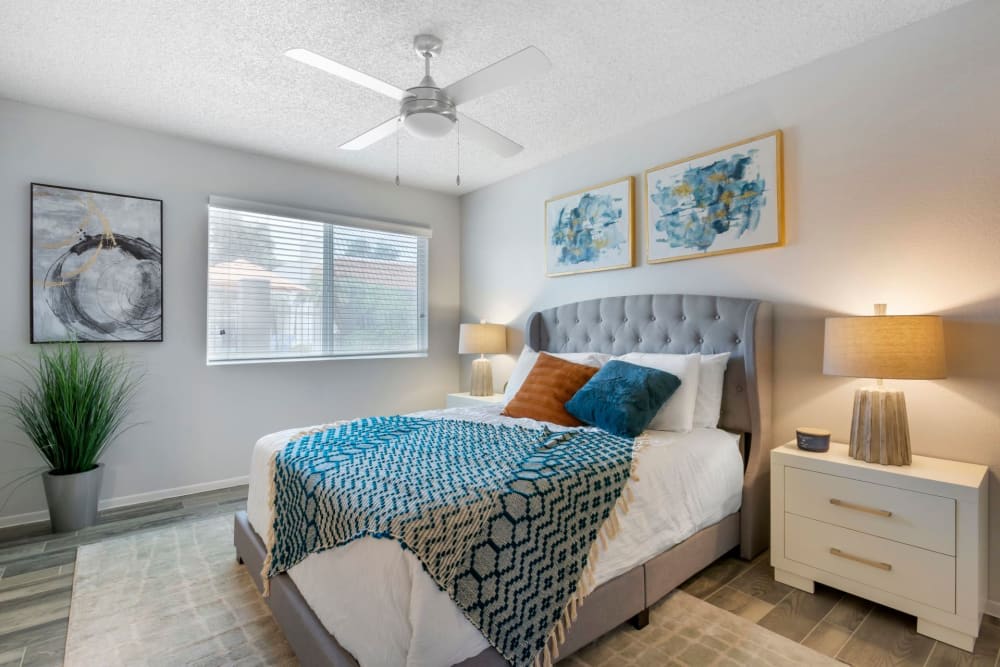 Newport Apartments Image 18