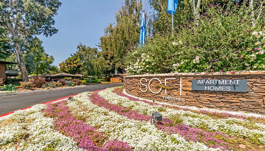 Sofi Fremont Image 1