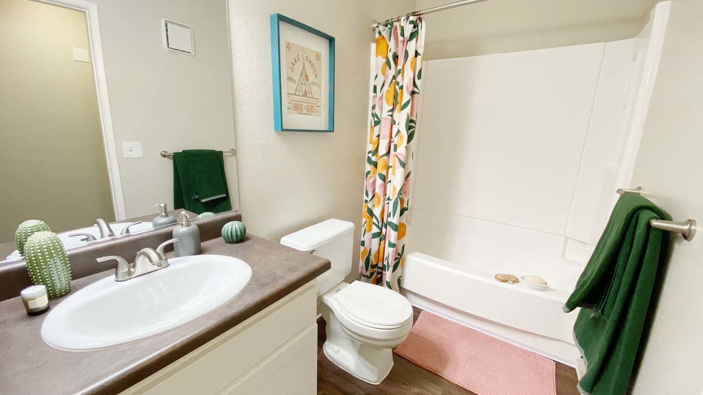 Vista Waterleaf Apartments Image 23