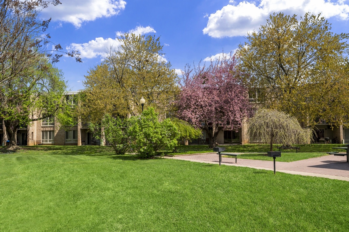 Jefferson Chase Image 16
