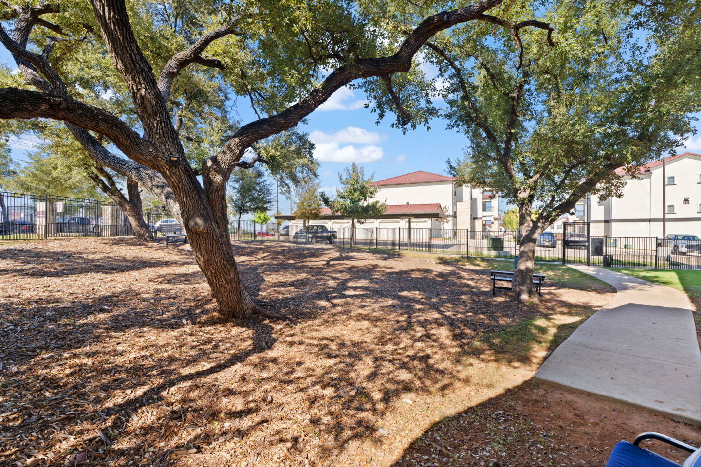 Water Oak Image 56