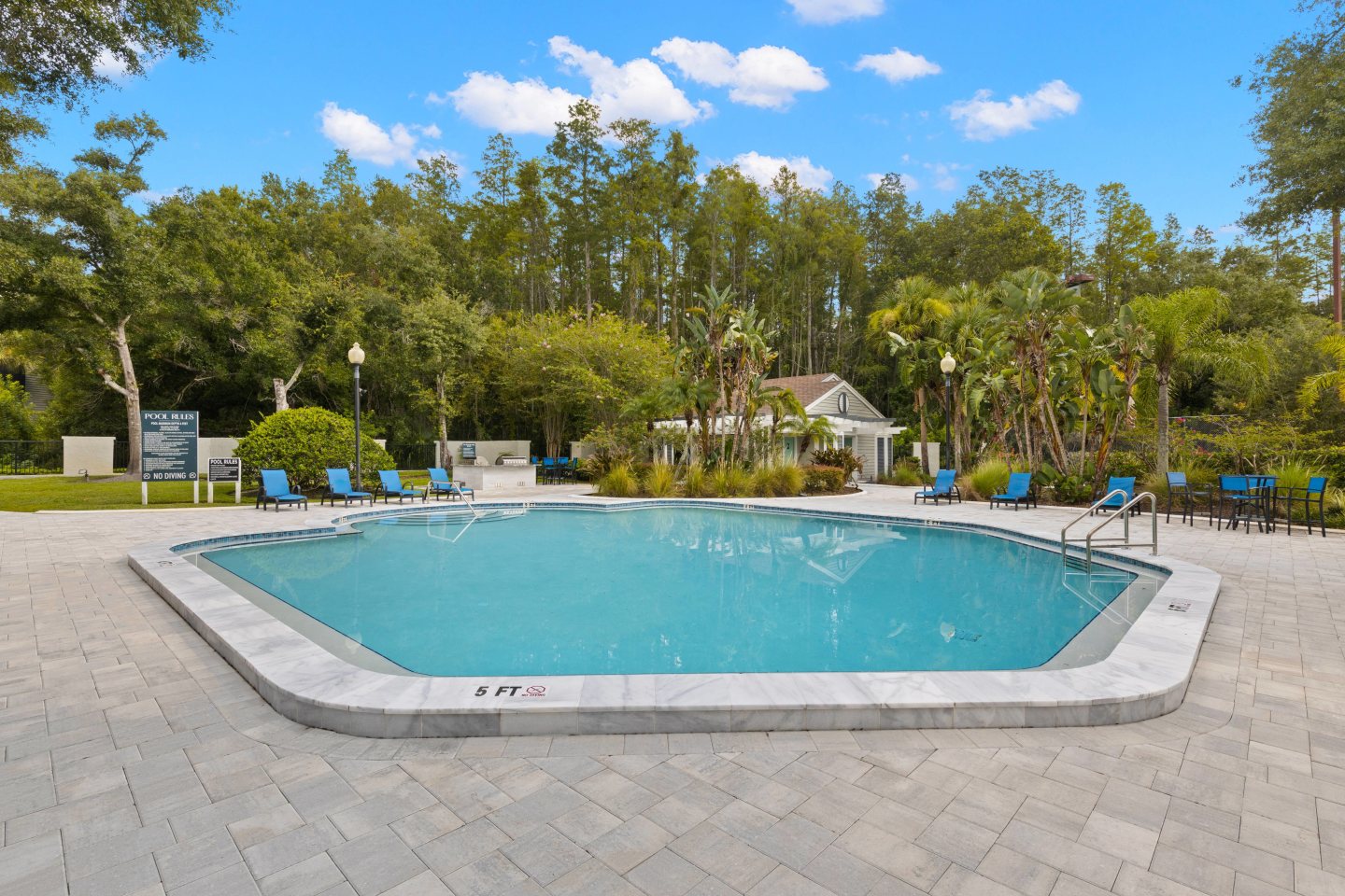 Pointe at Carrollwood Image 37