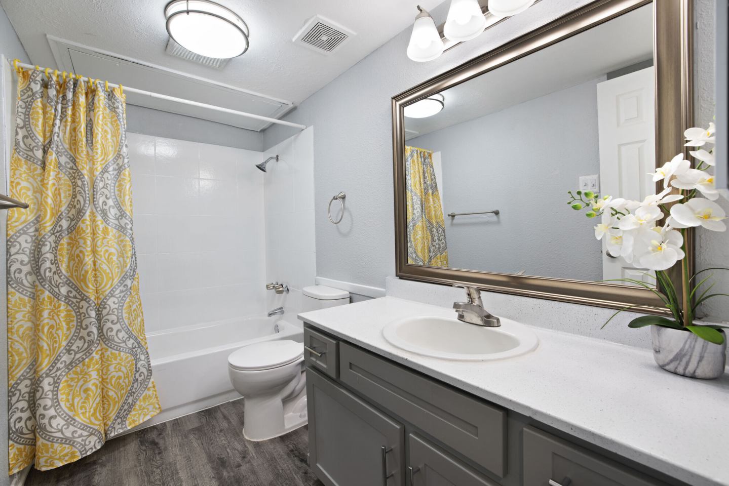 Nova Apartment Homes Image 9