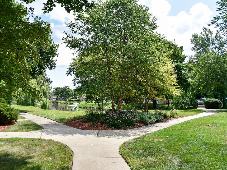 Harbor Lake Image 23