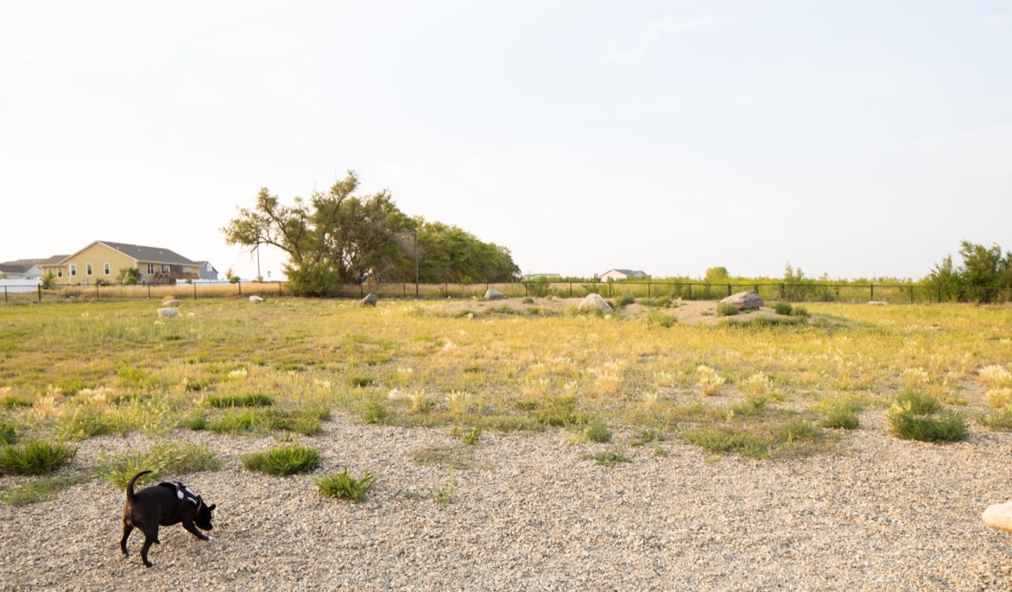 The Bluffs of Williston Image 33
