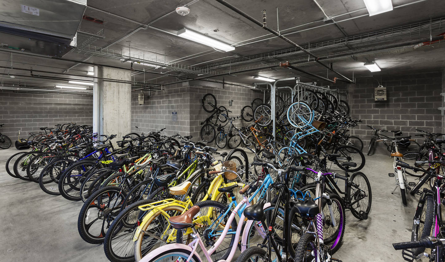 Student Housing- Hudson Image 16